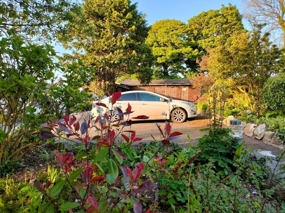 Broadhaven Cottage, Freshwater East, Pembs Pembroke Luaran gambar